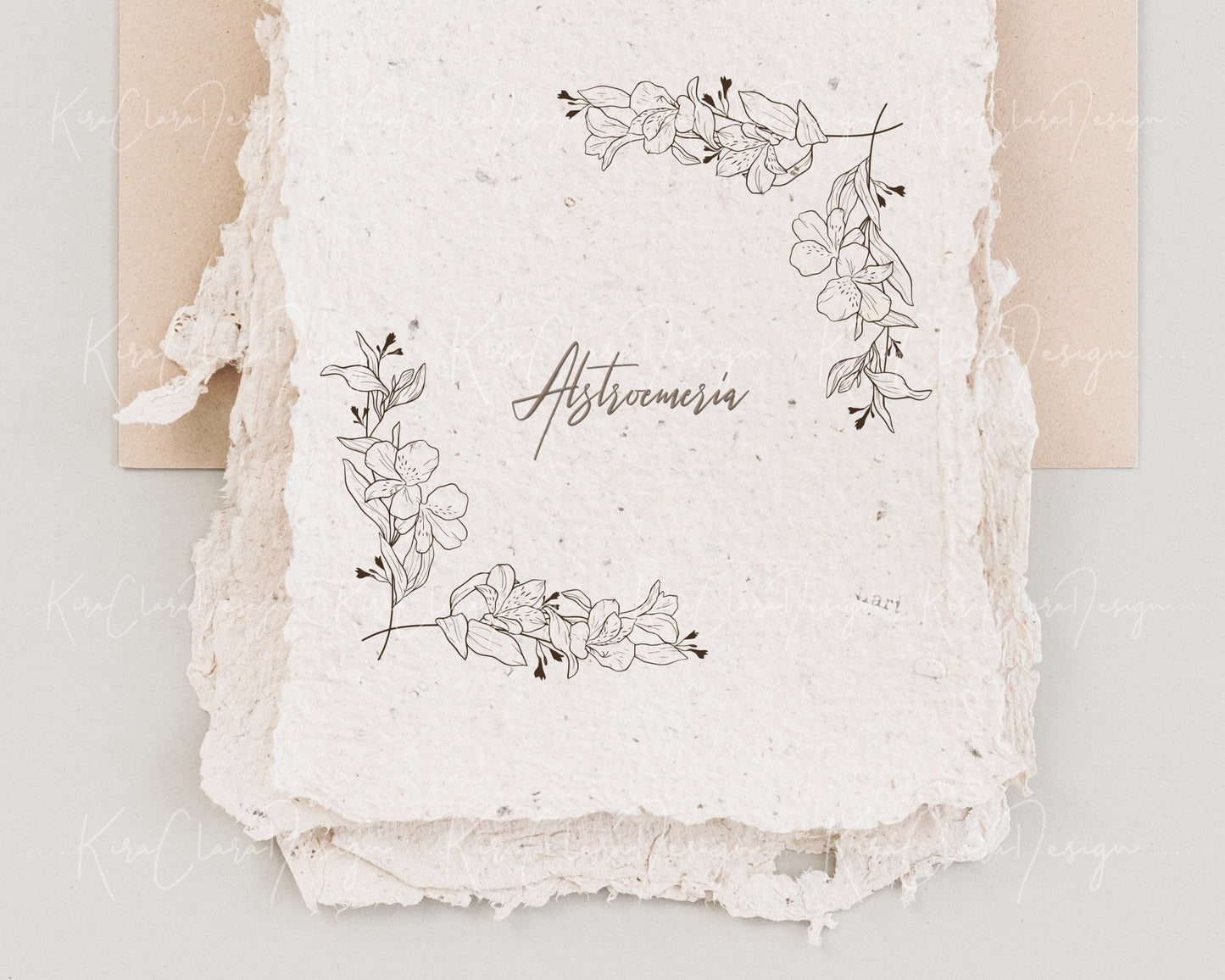 Alstroemeria Flower ( Peruvian Lily) Border Frame & Bottom Frame Clipart / Black & White