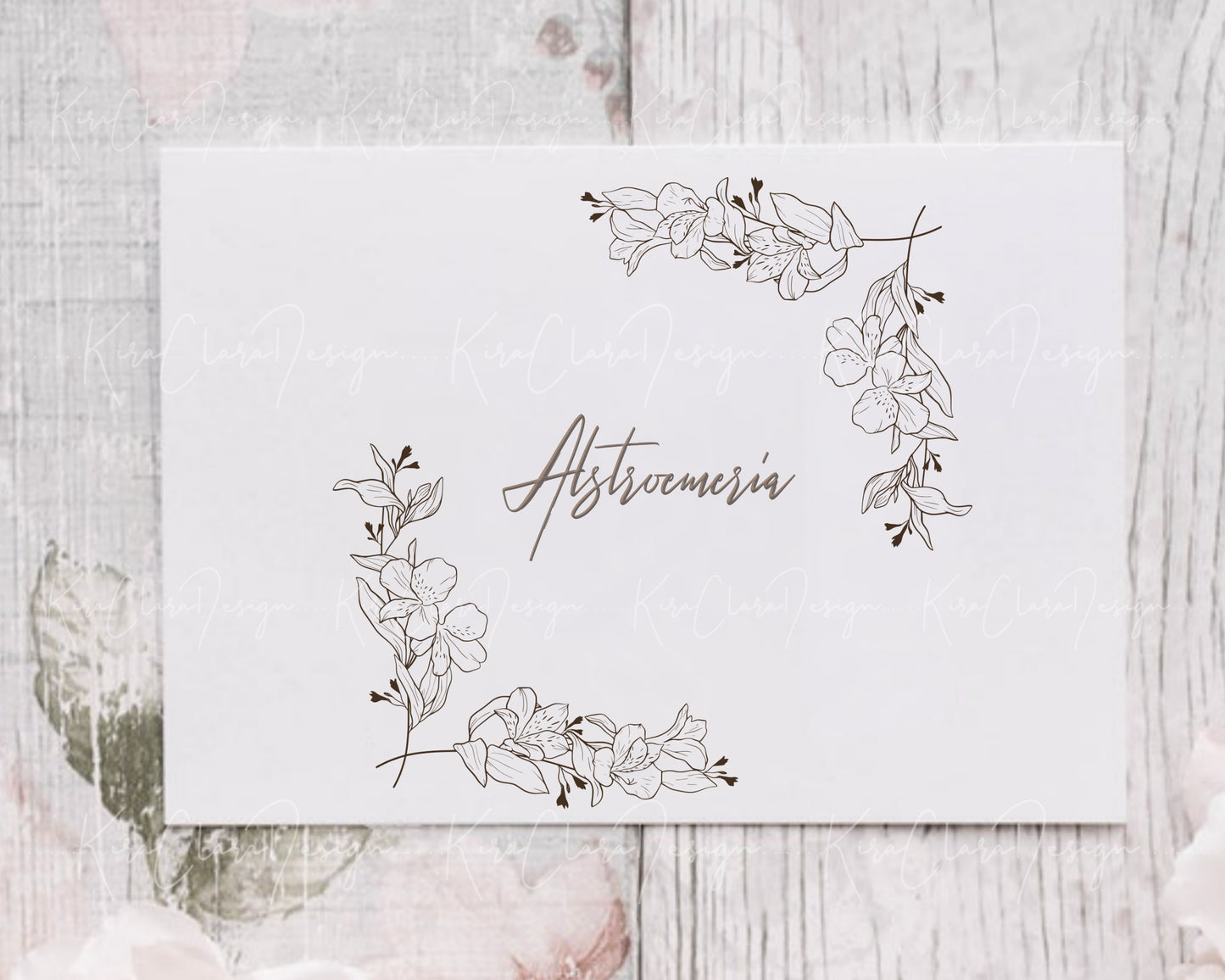 Alstroemeria Flower ( Peruvian Lily) Border Frame & Bottom Frame Clipart / Black & White