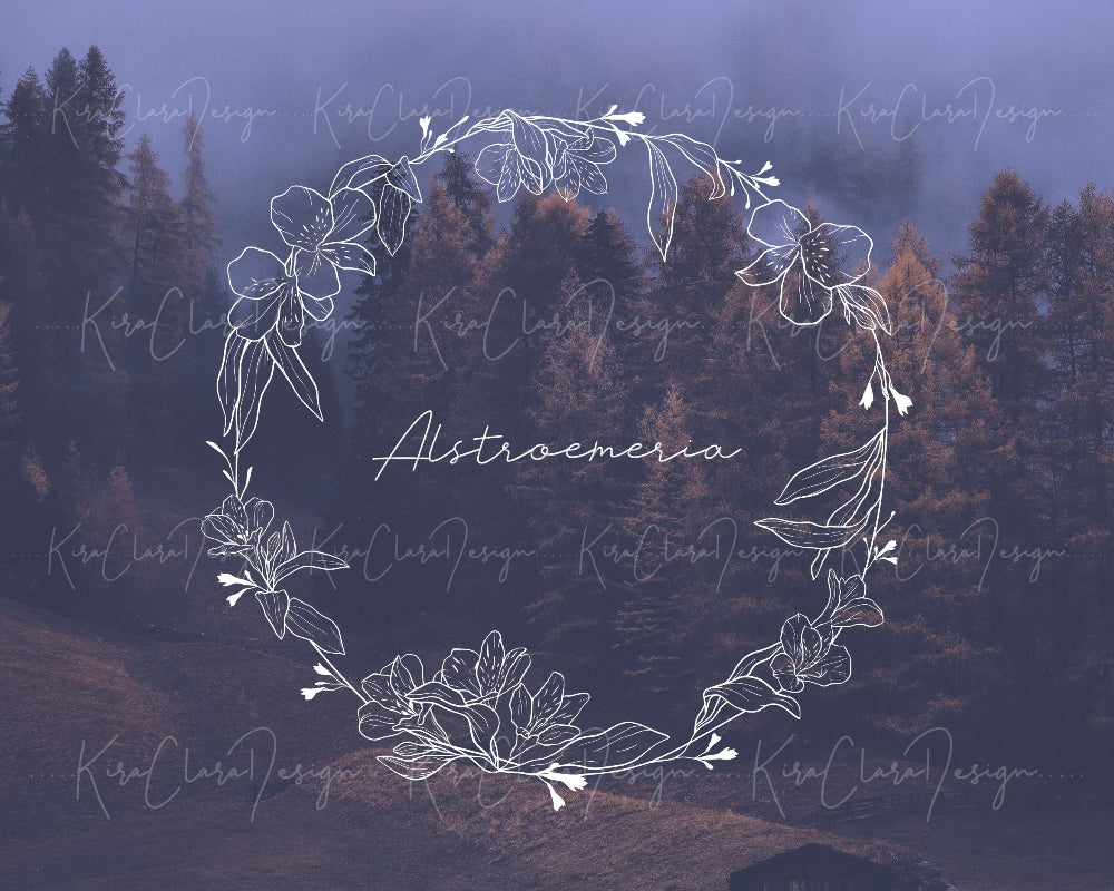 Hand-drawn Alstroemeria flower botanical wreath vector and clipart illustration in black & white for digital download.