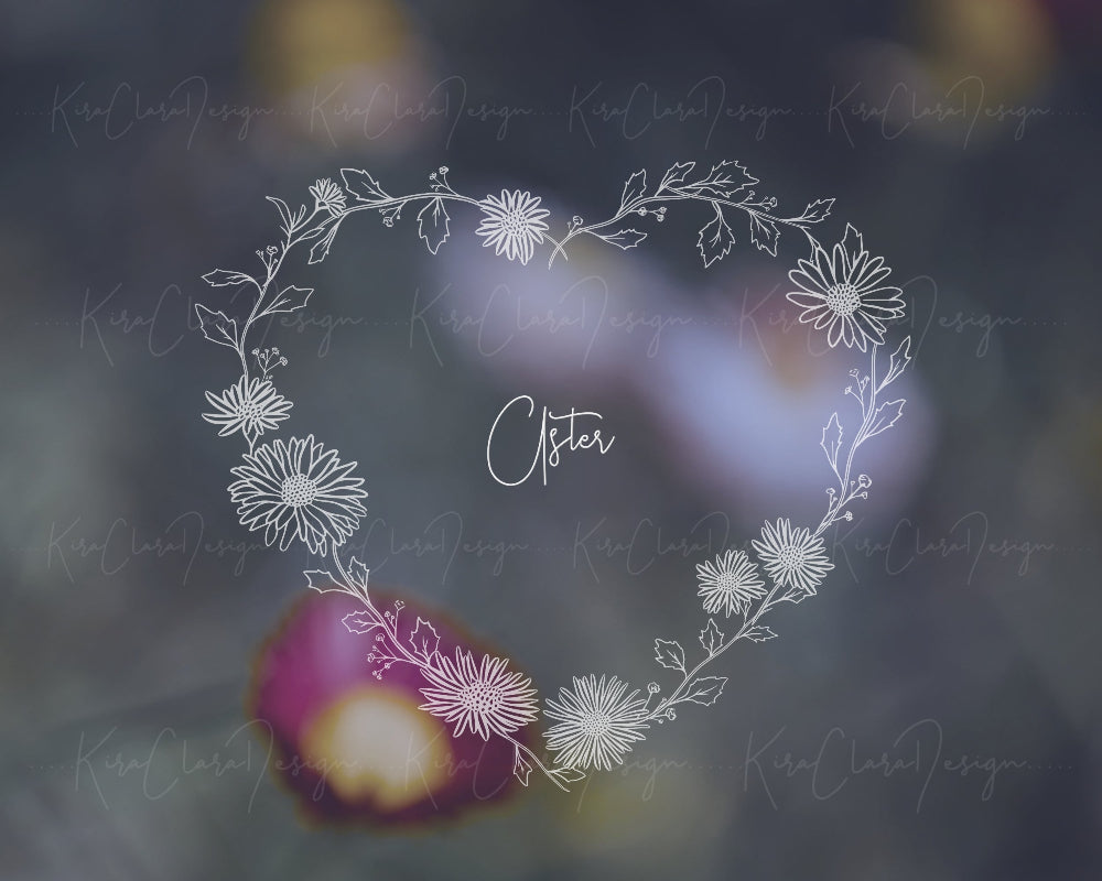Hand-drawn Aster (Michaelmas) heart shape floral wreath vector and clipart illustration in black and white for digital download.