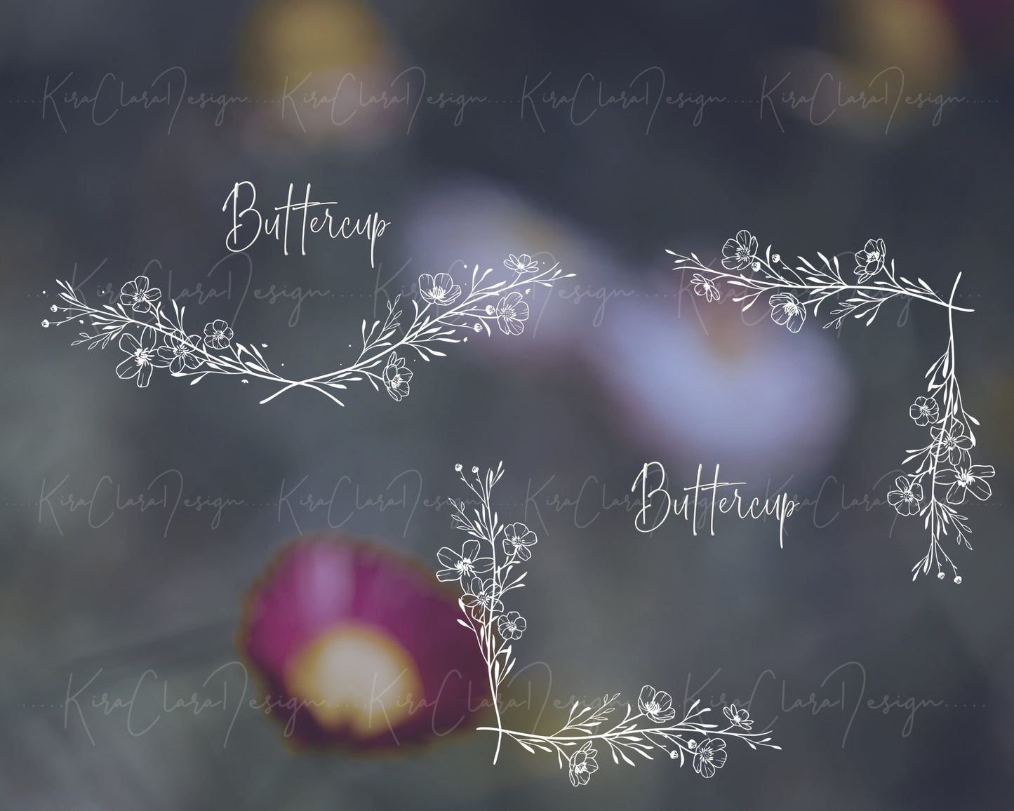 Buttercup Flower Bottom Frame & Square Corner Frame Clipart/ Black & White
