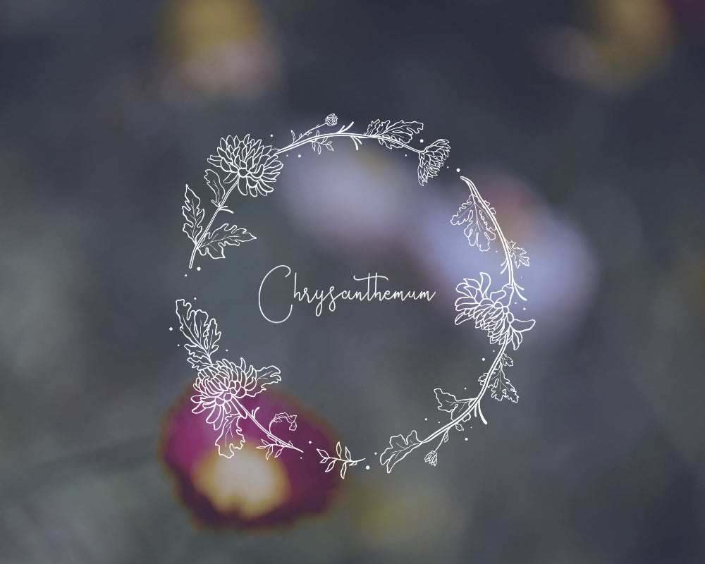 Hand-drawn Chrysanthemum floral wreath black and white vector illustration for digital download.