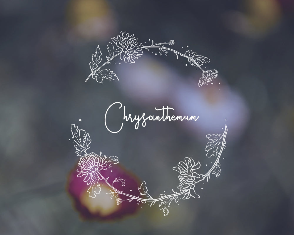 Hand-drawn Chrysanthemum floral wreath black and white vector illustration for digital download.
