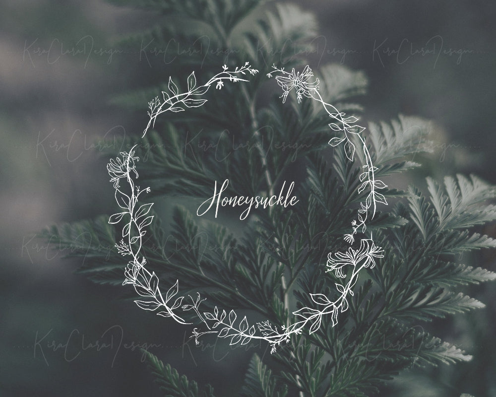 Hand-drawn Honeysuckle (Lonicera) floral wreath vector and clipart illustration in black and white for digital download.