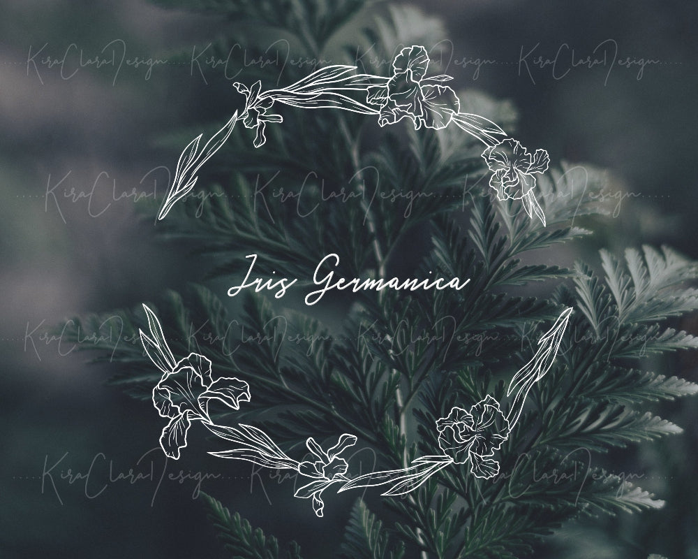 Hand-drawn Iris Germanica floral wreath vector and clipart illustration in black and white for digital download.