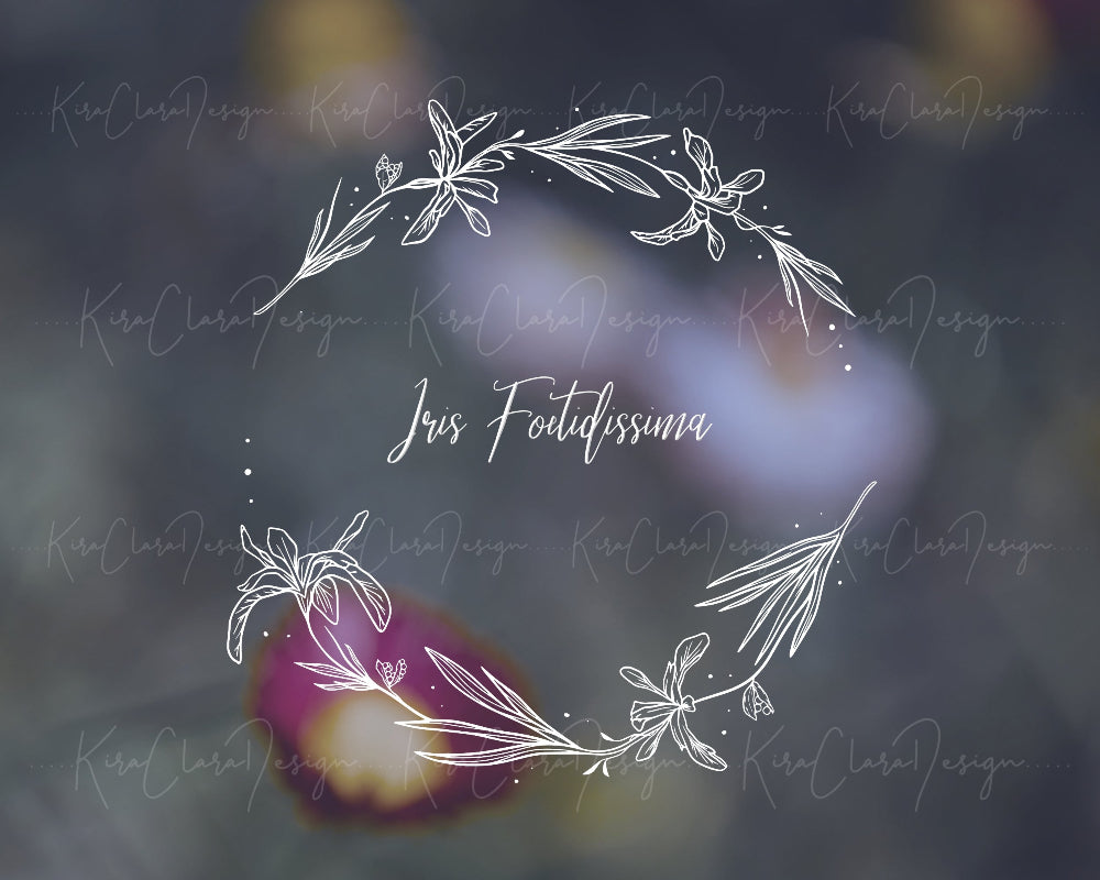Hand-drawn Iris Foetidissima (Coral Iris) floral wreath vector and clipart illustration in black and white for digital download.
