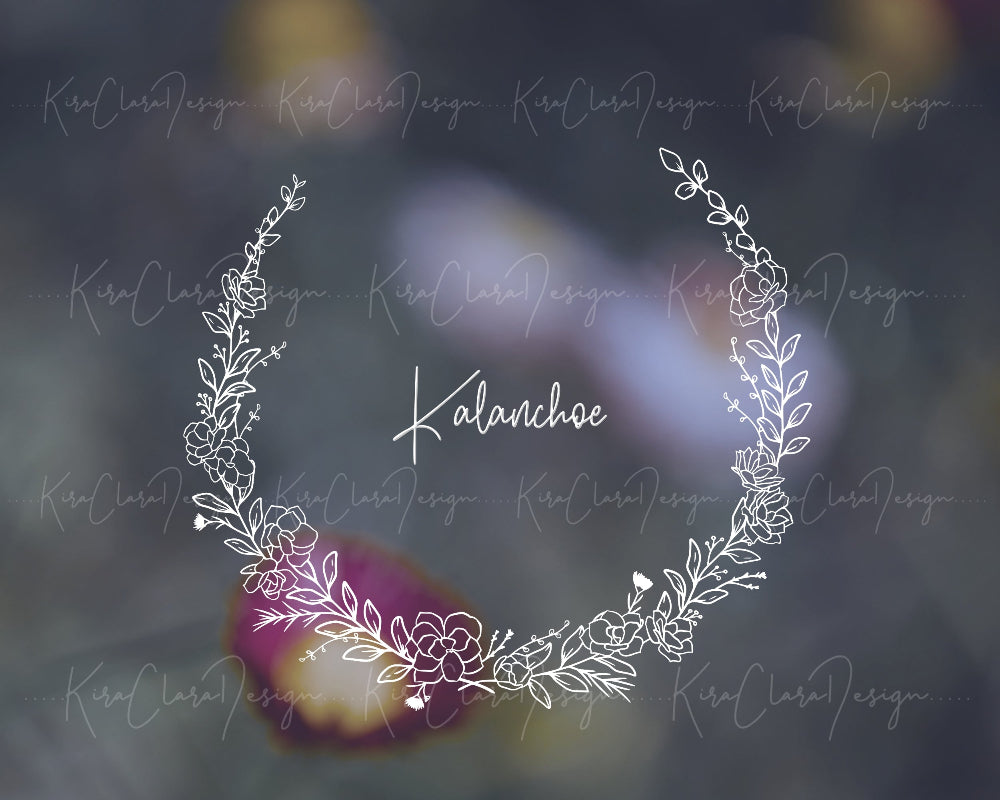Hand-drawn Kalanchoe (Flaming Katy) floral wreath vector and clipart illustration in black and white for digital download.