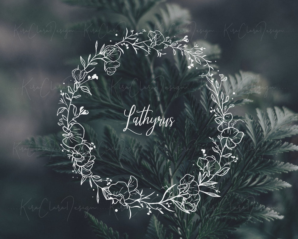 Hand-drawn Lavatera (Tree Mallow) floral wreath vector and clipart illustration in black and white for digital download.