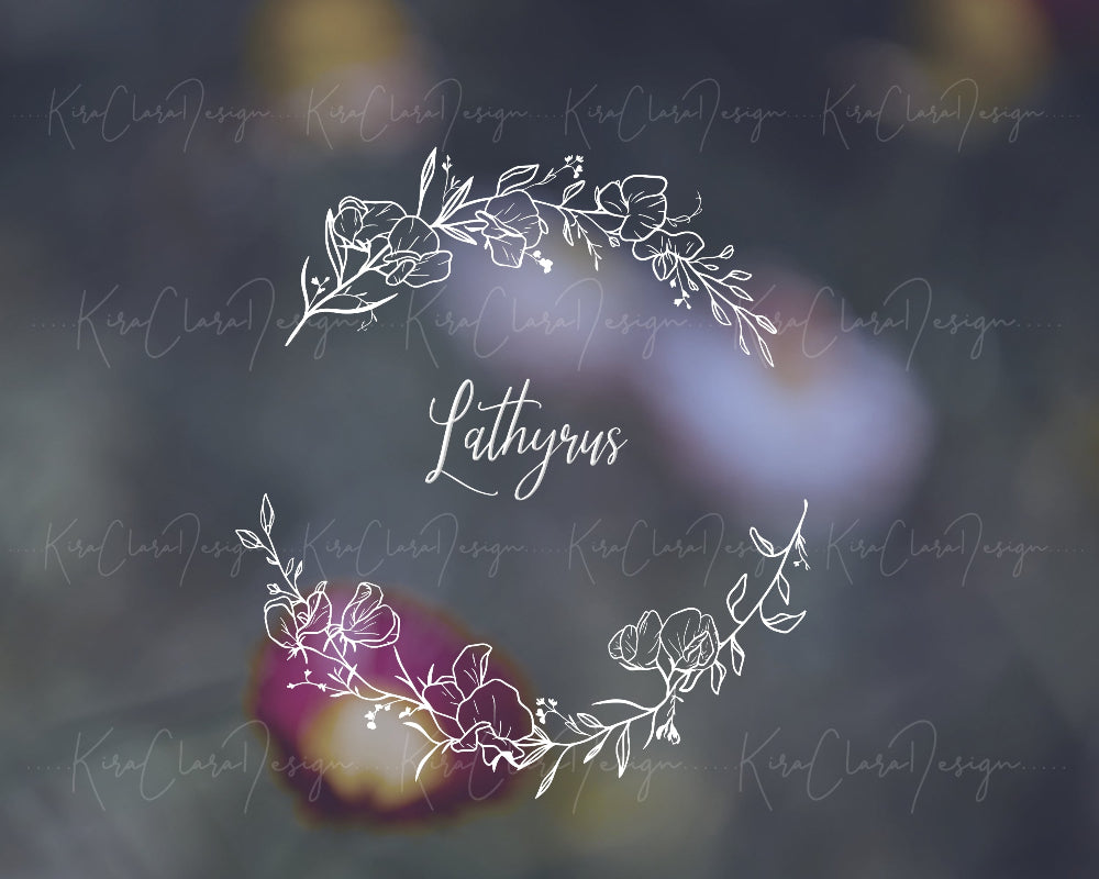 Hand-drawn Lathyrus (Sweet Pea) floral wreath vector and clipart illustration in black and white for digital download.