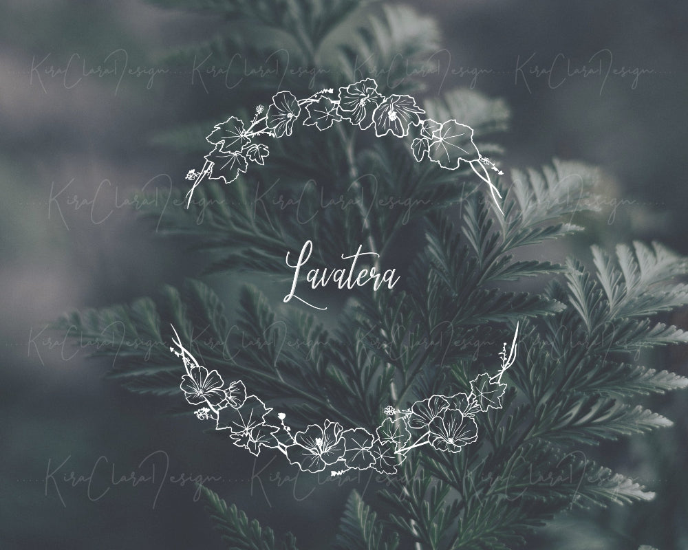 Hand-drawn Lavatera (Tree Mallow) floral wreath vector and clipart illustration in black and white for digital download.