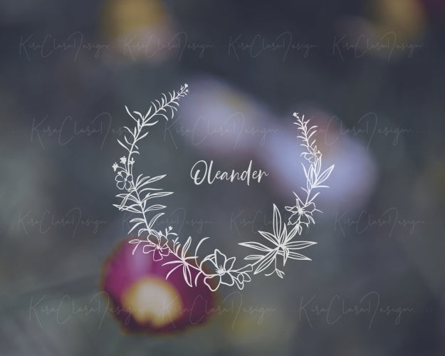 Oleander Flower (Nerium Oleander) Botanical Wreath Clipart