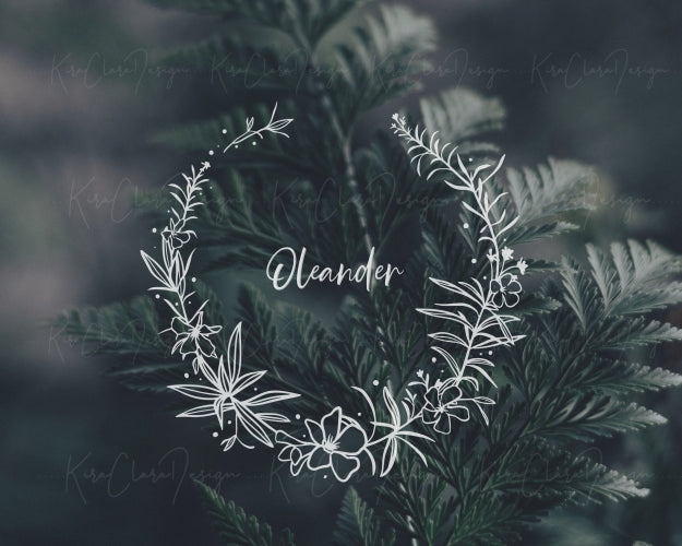 Oleander Flower (Nerium Oleander) Botanical Wreath Clipart