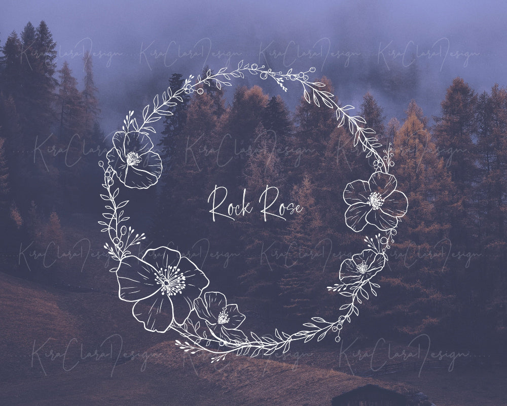 Hand-drawn Rock Rose floral wreath vector and clipart illustration in black and white for digital download.