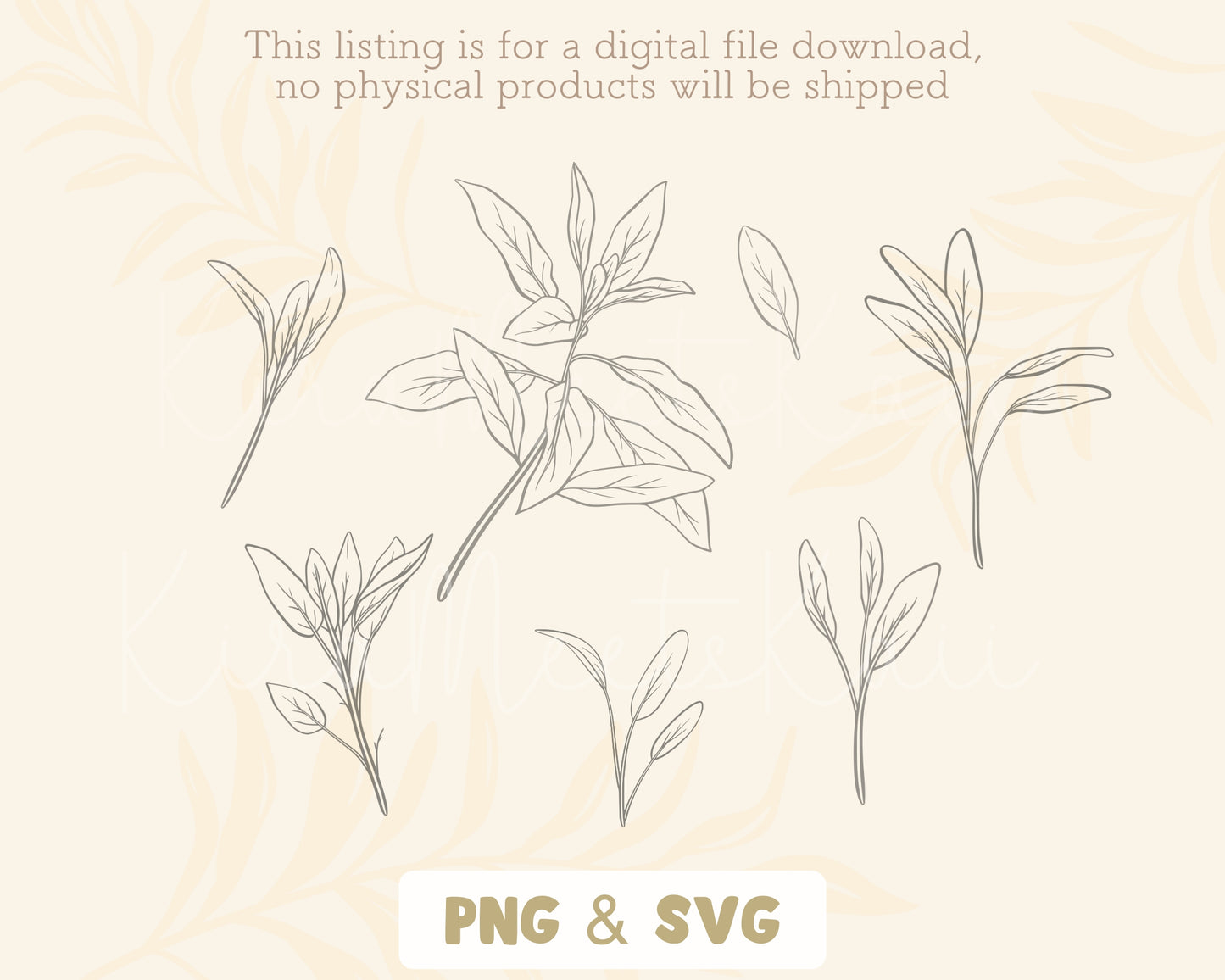 Sage Leaf Elements Clipart