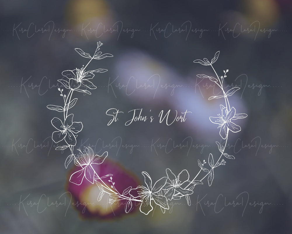 Hand-drawn St. John's Wort floral wreath vector and clipart illustration in black and white for digital download.