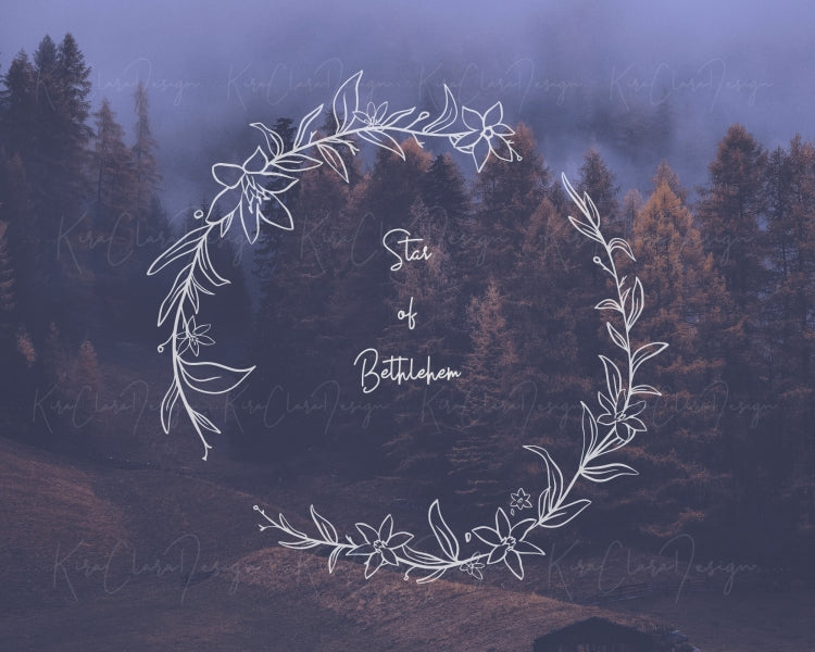 Star of Bethlehem Flower (Ornithogalum) Botanical Wreath Clipart