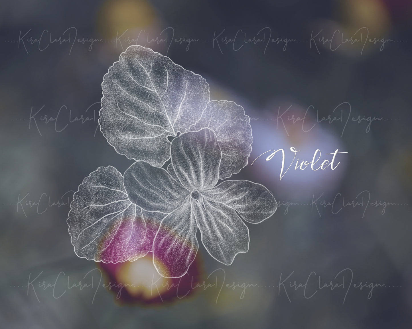 Vintage Violet Flower Illustration / 5 Colors