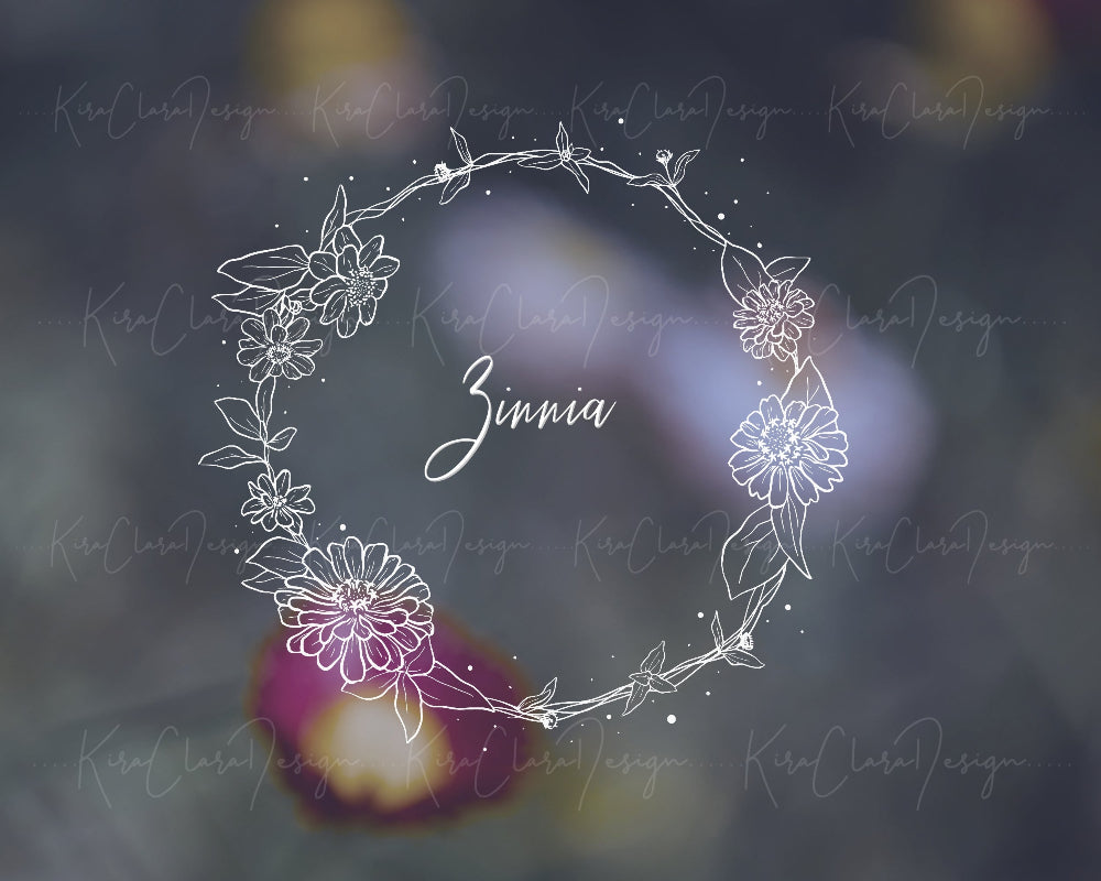 Hand-drawn Zinnia floral wreath featuring delicate botanical flowers and foliage in black and white. Ideal for botanical crafts, prints, and designs.