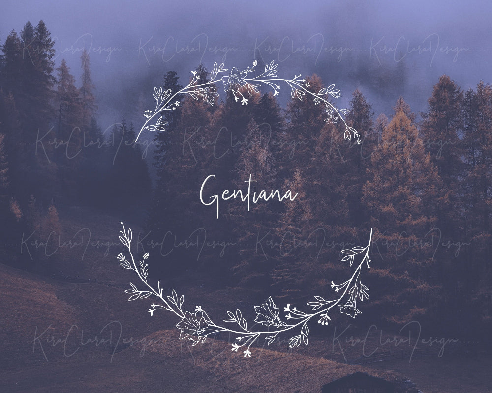 Hand-drawn Gentiana floral wreath vector and clipart illustration in black and white for digital download.