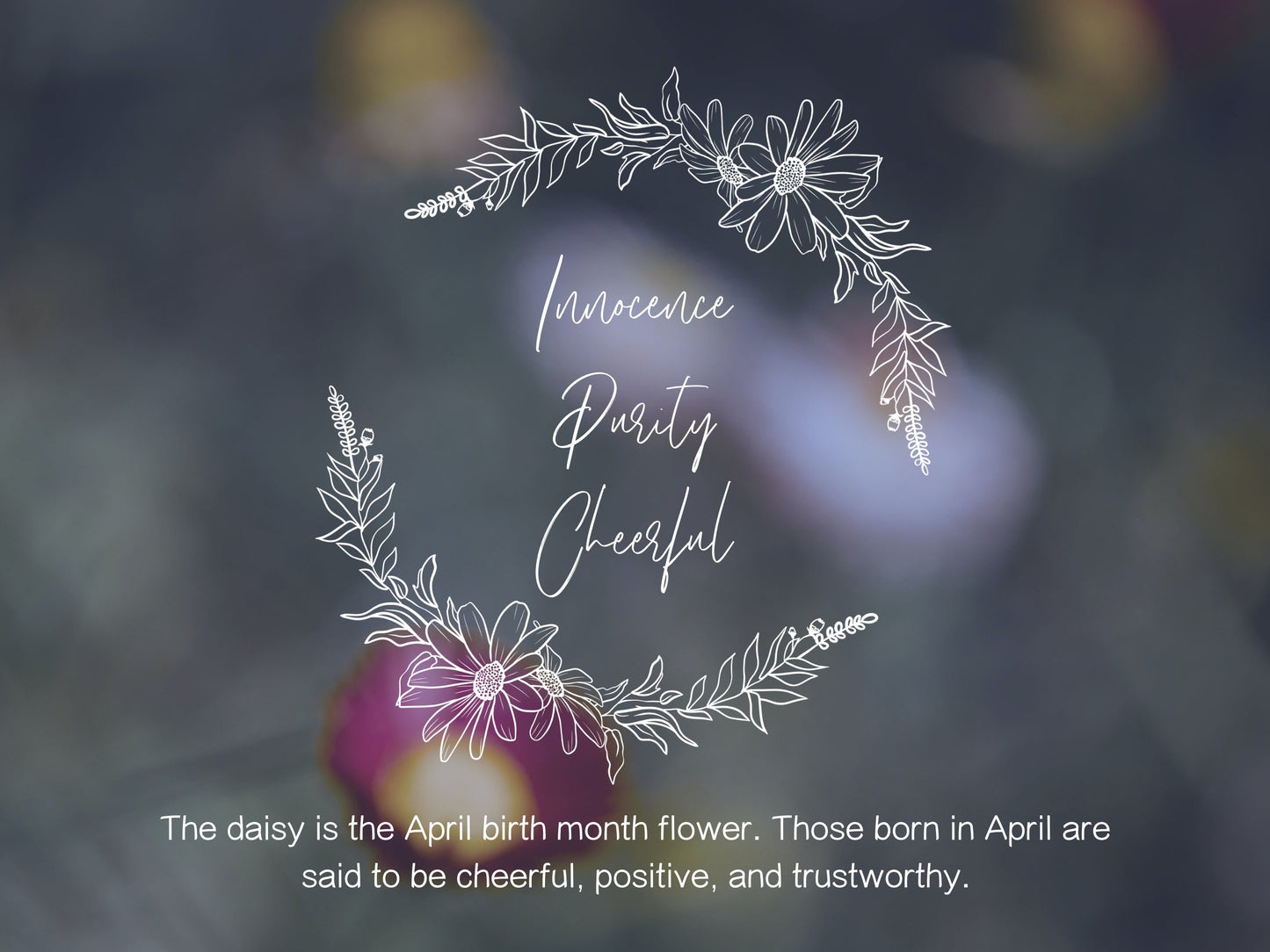 Daisy Flower Wreath Clipart