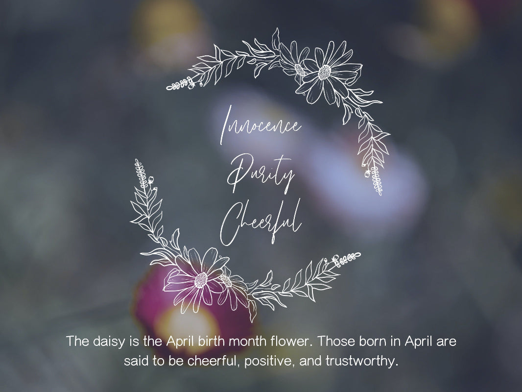 Hand-drawn Daisy floral wreath vector and clipart illustration in black and white for digital download.