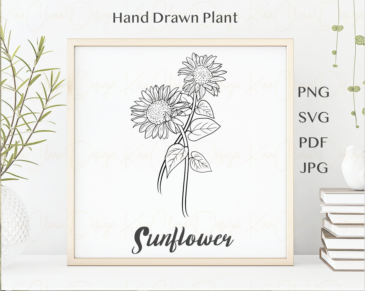 Sunflower Outline Clip Art