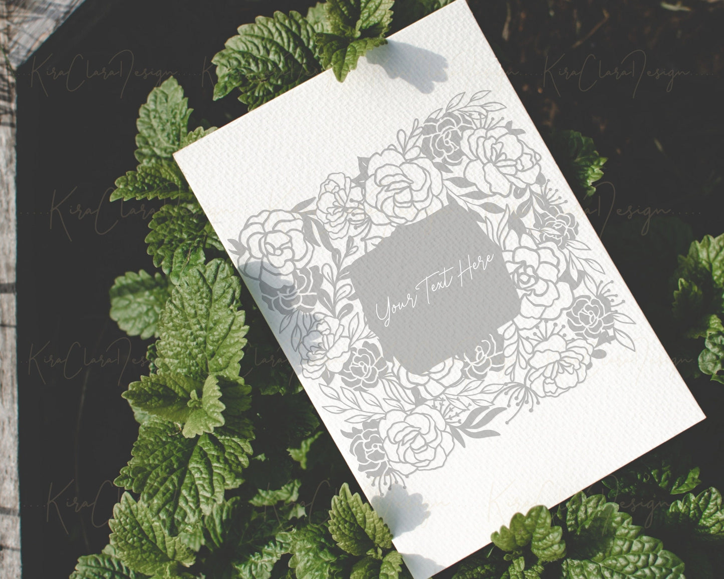 Primula Belarina Square Floral Pattern Clipart