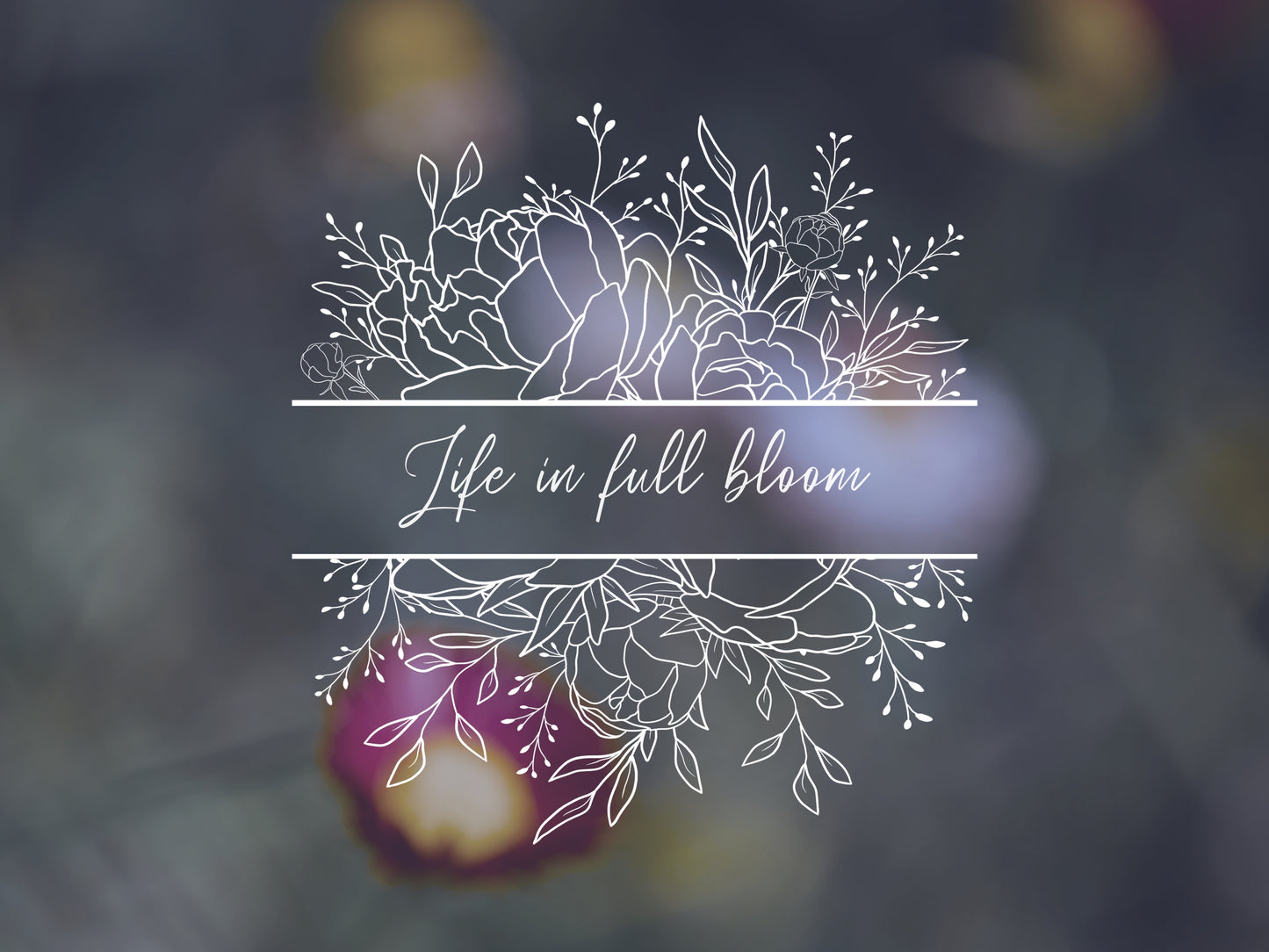 Peony Flower Split Border Frame Clipart SVG