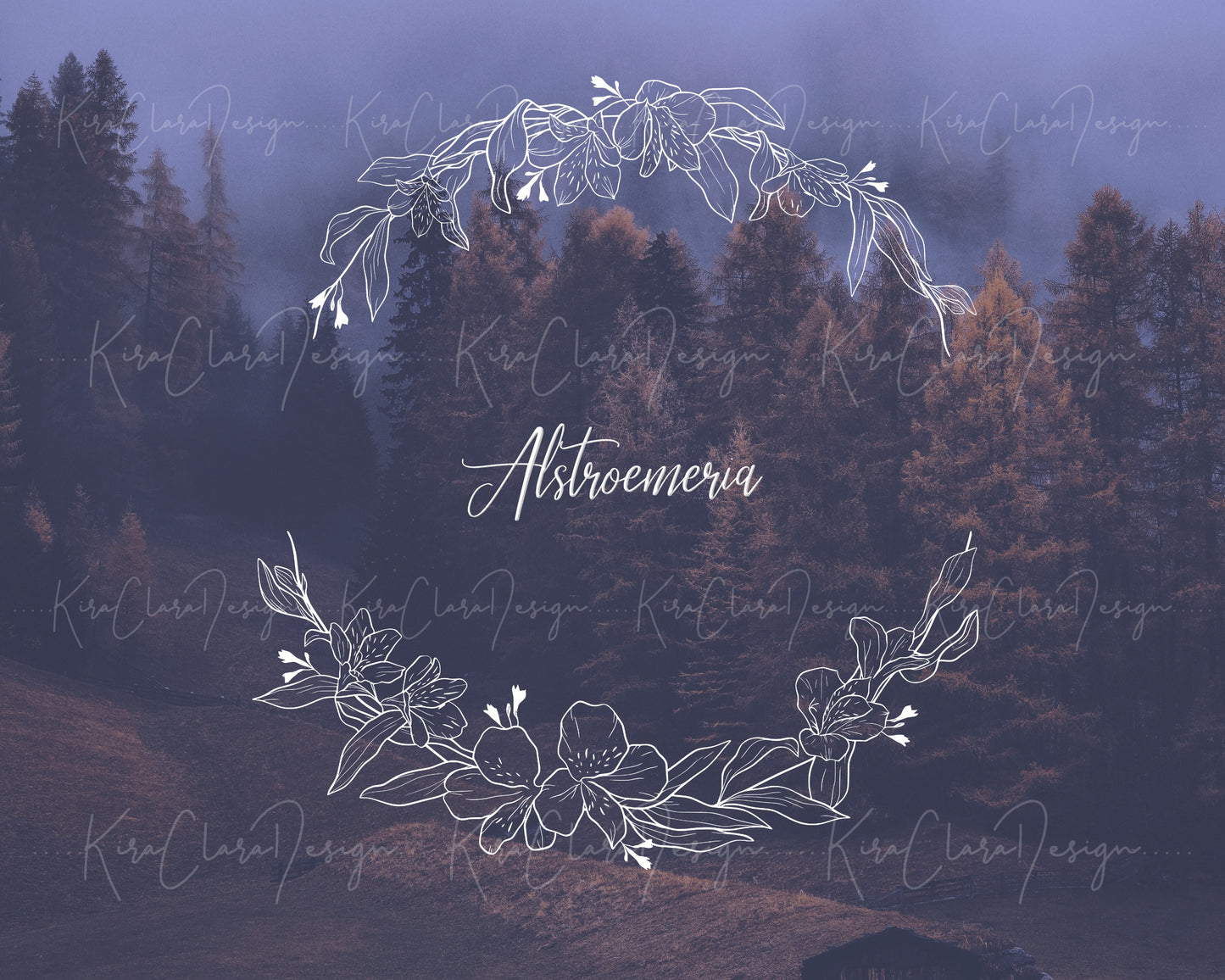 Alstroemeria Flower (Peruvian Lily) Half Wreath Clipart/ Black & White