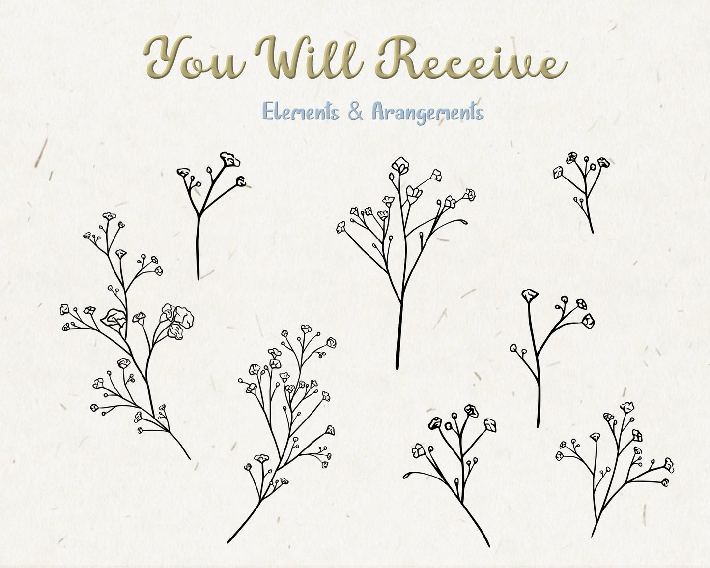 Baby's Breath Flower Clipart Bundle in Black & White