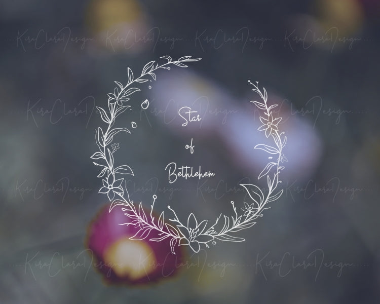 Star of Bethlehem Flower (Ornithogalum) Botanical Wreath Clipart