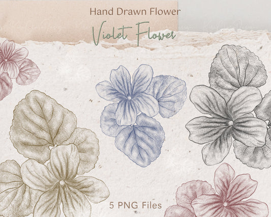 Vintage Violet Flower Illustration / 5 Colors