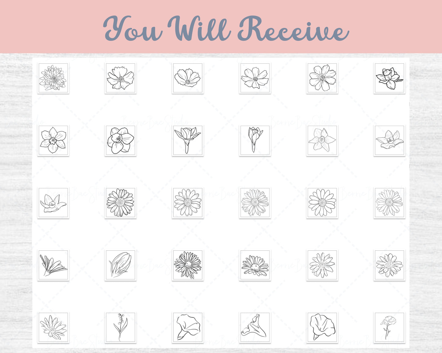 56 Birth Flower Vector Bundle