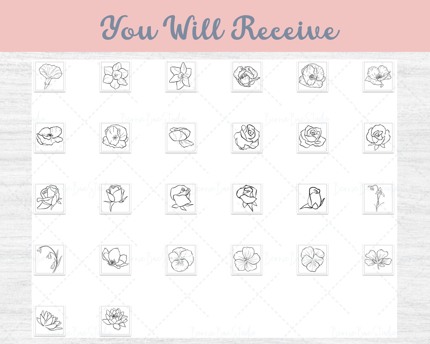 56 Birth Flower Vector Bundle