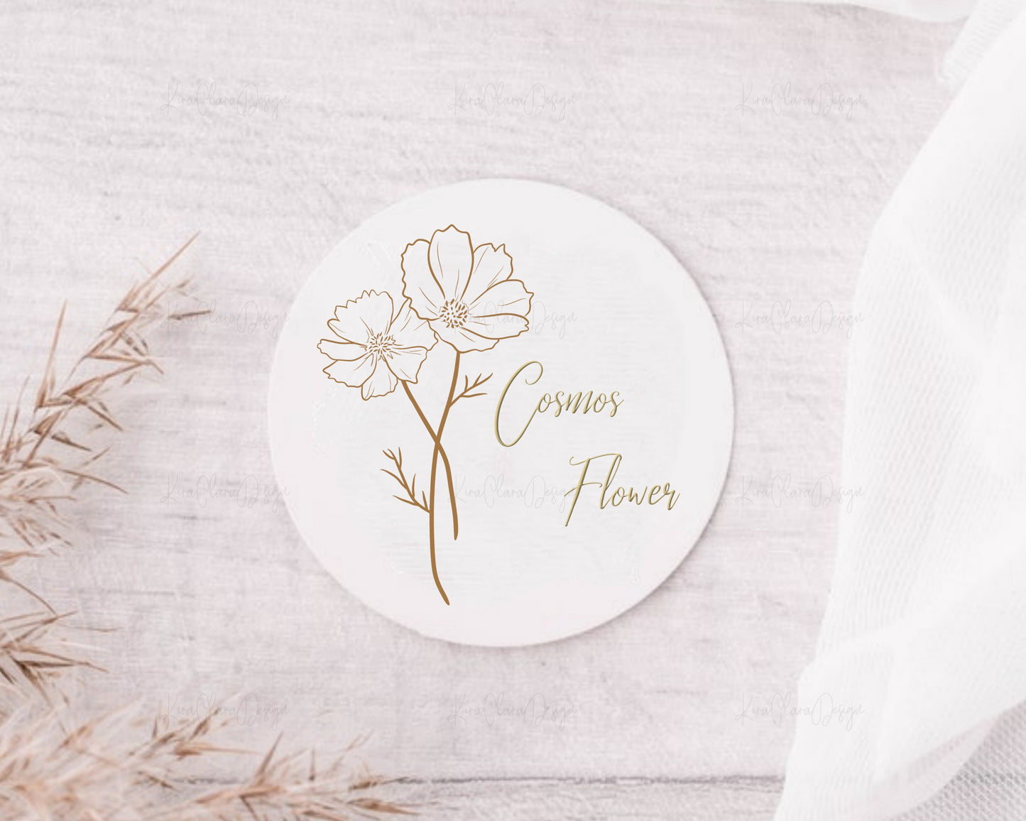October Birth Flower Cosmos Outline Clipart Minimalist