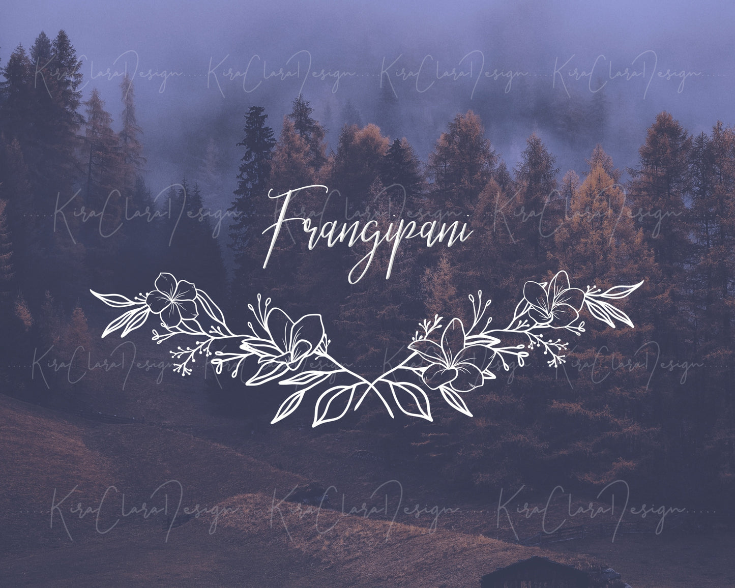 Frangipani Flower (Plumeria) Border Frame Clipart