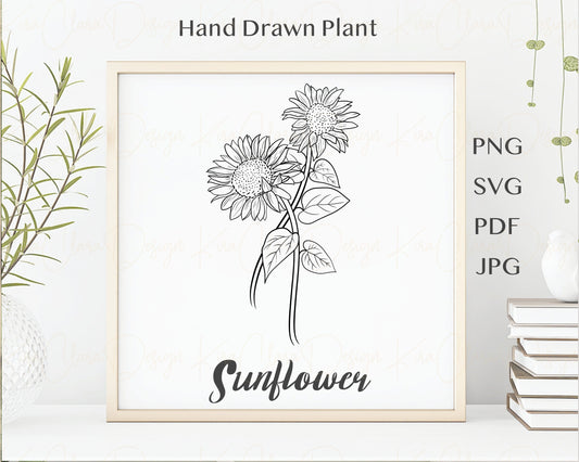 Sunflower Outline Clip Art