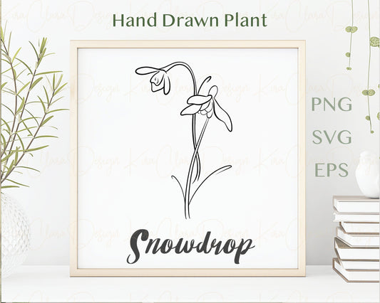 Birth Flower Snowdrop Clipart