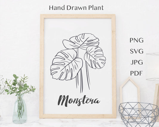 Tropical Leaf Monstera Outline Clipart SVG