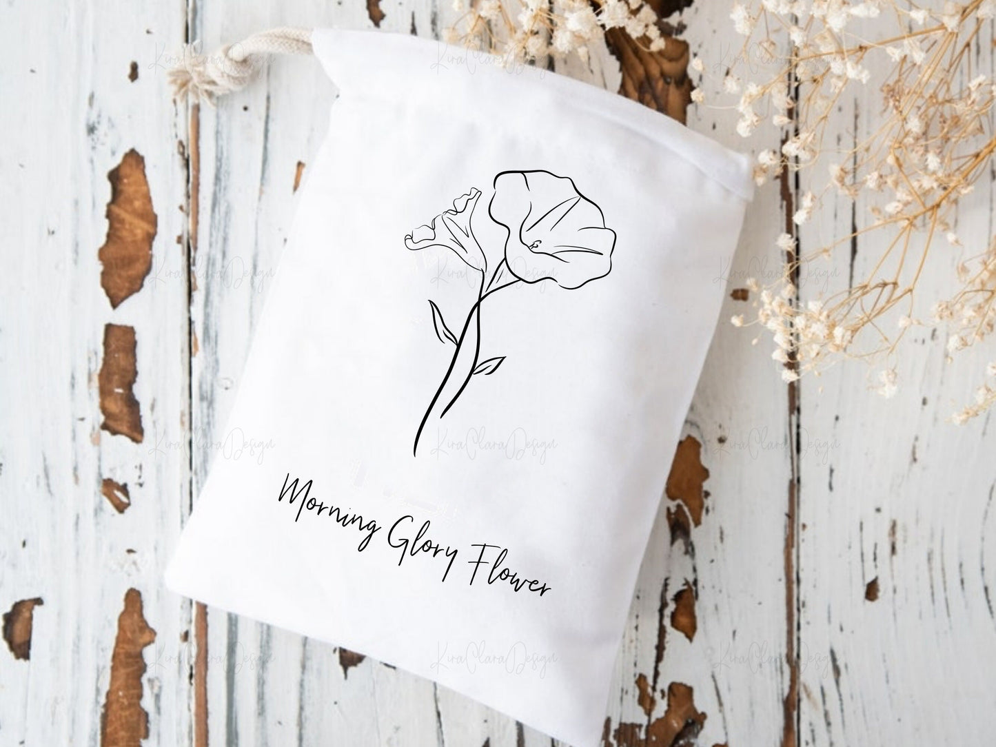 September Birth Flower Morning Glory Outline Clipart