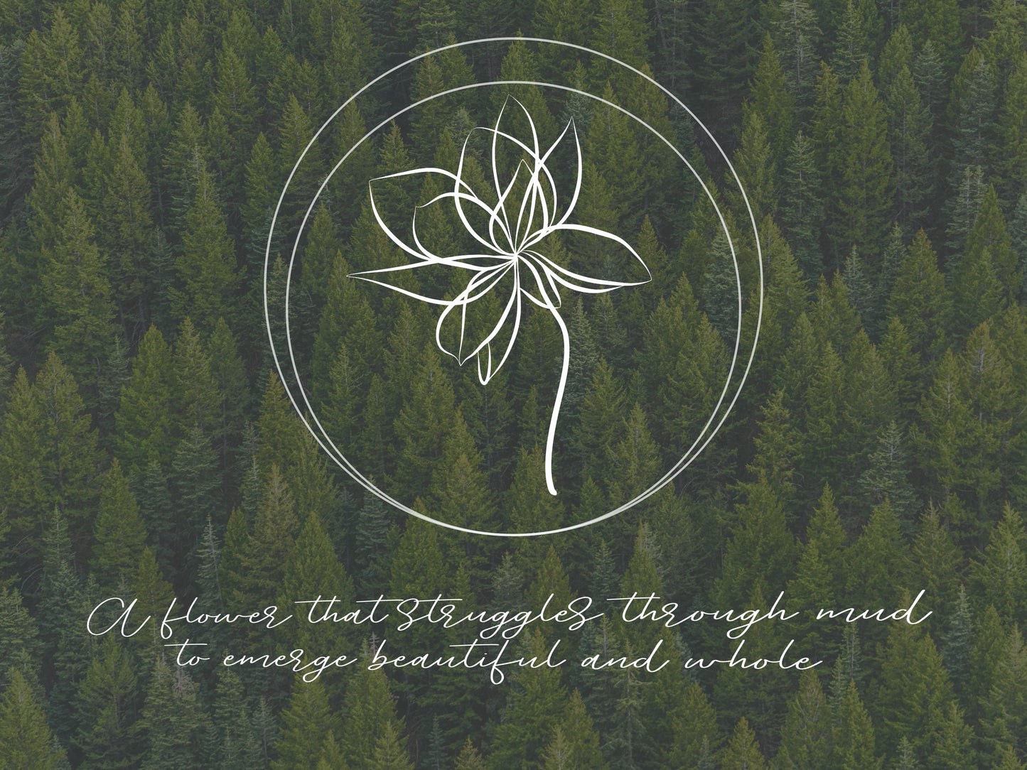 Lotus Flower Outline Clipart