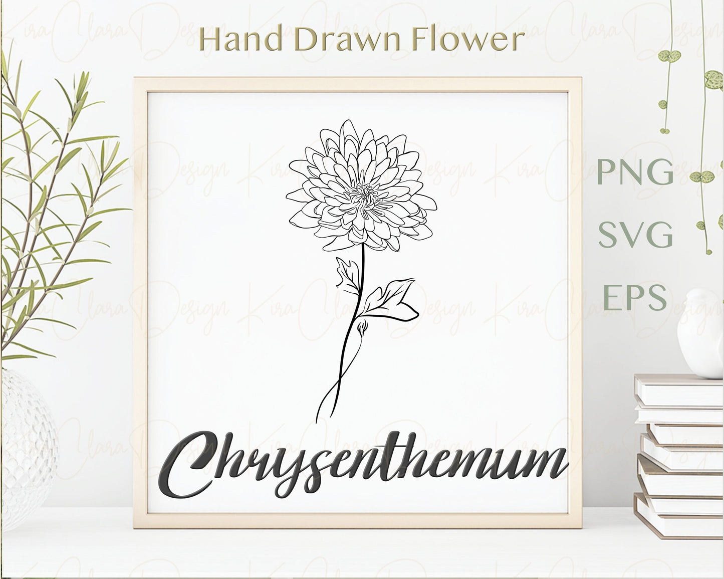 November Birth Flower Chrysenthemum Outline Clipart