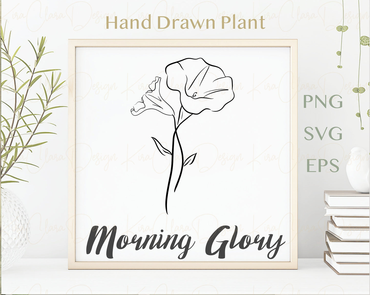 September Birth Flower Morning Glory Outline Clipart