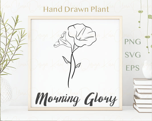 September Birth Flower Morning Glory Outline Clipart