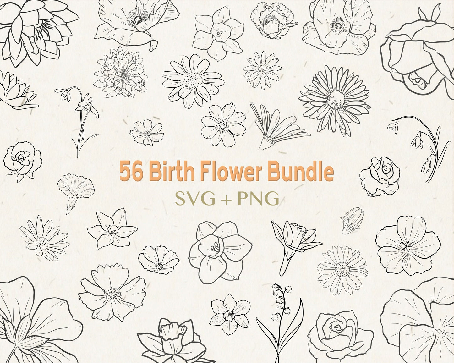 56 Birth Flower Vector Bundle