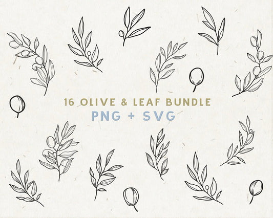 Botanical Clipart Bundle Olive Leaf SVG