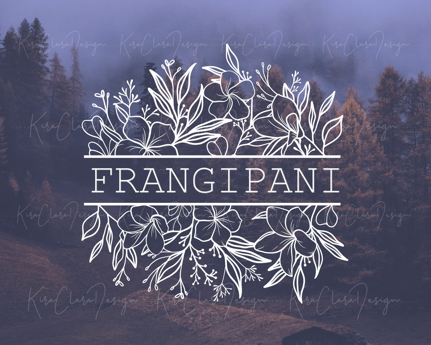 Frangipani Flower (Plumeria) Split Flower Border Frame Clipart