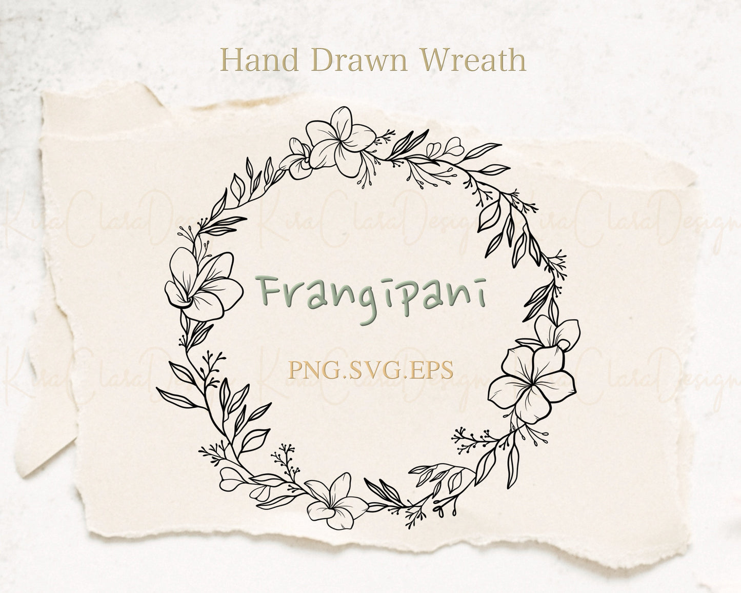 Frangipani Flower (Plumeria) Circle Wreath Clipart