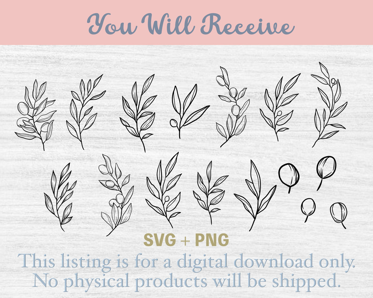 Botanical Clipart Bundle Olive Leaf SVG